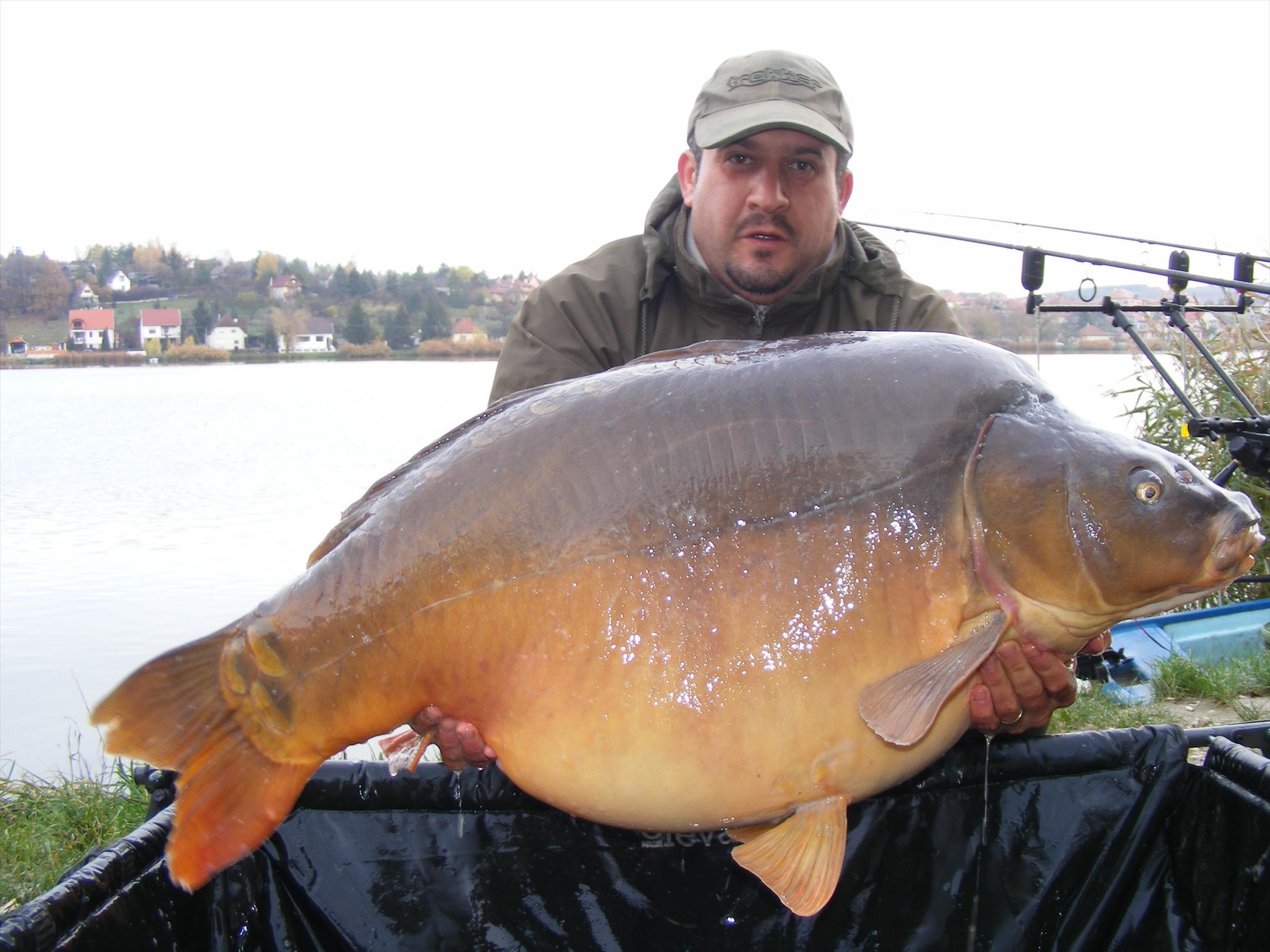 Harsany noiembrie 2013 - image111111.jpg